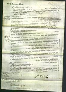 Court of Common Pleas - Elizabeth Rowland-Original Ancestry