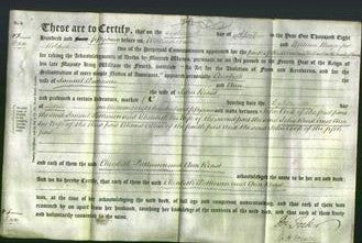 Deed by Married Women - Elizabeth Pattinson-Original Ancestry