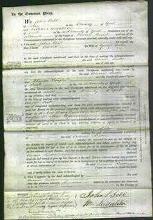 Court of Common Pleas - Annis Lister-Original Ancestry