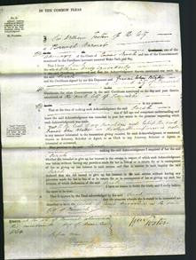 Court of Common Pleas - Sarah Hardy-Original Ancestry