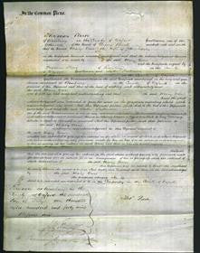 Court of Common Pleas - Mary Ann Eagles-Original Ancestry