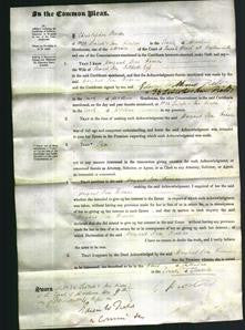 Court of Common Pleas - Margaret Jane Frances Goss-Original Ancestry