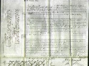Court of Common Pleas - Ann Wilson-Original Ancestry