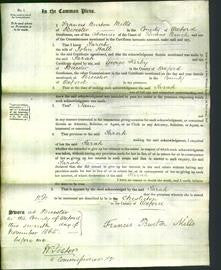 Court of Common Pleas - Sarah Hall