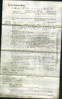 Court of Common Pleas - Elizabeth Whitehouse-Original Ancestry