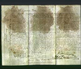 Court of Common Pleas - Jane Tuckwell-Original Ancestry