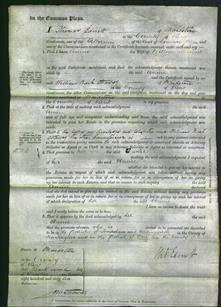 Court of Common Pleas - Annie Skinner-Original Ancestry