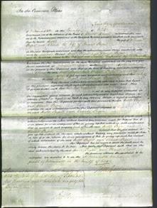 Court of Common Pleas - Hester Payne and Eleanor Payne-Original Ancestry