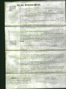 Court of Common Pleas - Elizabeth Pattinson-Original Ancestry