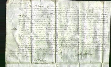 Court of Common Pleas - Louisa Hart-Original Ancestry
