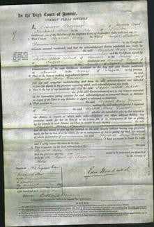 Court of Common Pleas - Elizabeth Mary Dawson-Original Ancestry