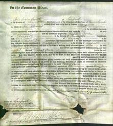 Court of Common Pleas - Mary Ann Wilson Sparks-Original Ancestry