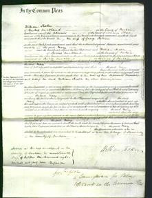 Court of Common Pleas - Mary Pattison-Original Ancestry