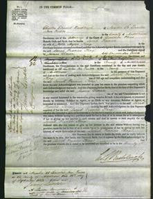 Court of Common Pleas - Sarah Frances King-Original Ancestry