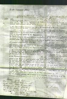 Court of Common Pleas - Rachael Fozard-Original Ancestry