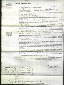Court of Common Pleas - Mary Cropley-Original Ancestry