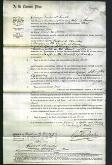 Court of Common Pleas - Jane Neighbour-Original Ancestry