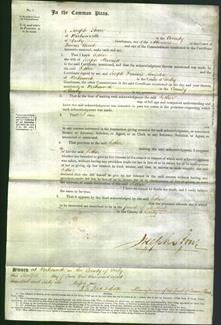 Court of Common Pleas - Esther Marriott-Original Ancestry