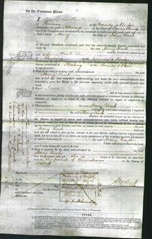 Court of Common Pleas - Mary Leach-Original Ancestry
