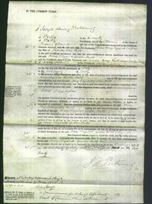 Court of Common Pleas - Mary Elizabeth Godber Mold-Original Ancestry
