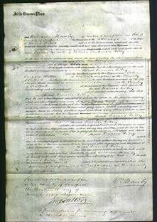 Court of Common Pleas - Frances Riley-Original Ancestry