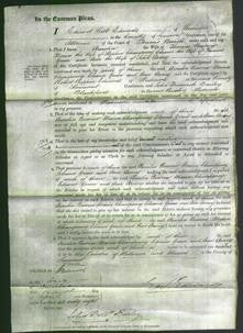 Court of Common Pleas - Amelia Burrow, Maria Champeney, Eleanor Green and Ann Arney-Original Ancestry