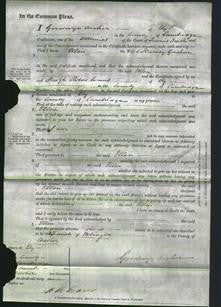 Court of Common Pleas - Ellen Goodwin-Original Ancestry