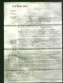 Court of Common Pleas - Maria Ambrose-Original Ancestry