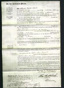Court of Common Pleas - Lydia Ann Vincent-Original Ancestry