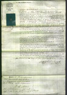 Court of Common Pleas - Mary Cass-Original Ancestry