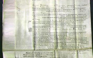 Court of Common Pleas - Mary Newland-Original Ancestry