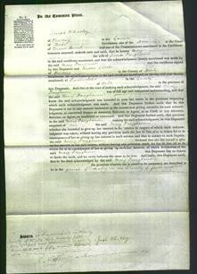 Court of Common Pleas - Mary Pangbourn-Original Ancestry