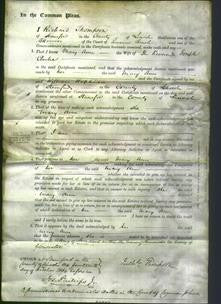 Court of Common Pleas - Mary Ann Clarke-Original Ancestry