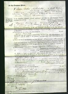 Court of Common Pleas - Sophia Frances Shuldham-Original Ancestry