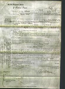 Court of Common Pleas - Fanny Lovett Nunneley-Original Ancestry