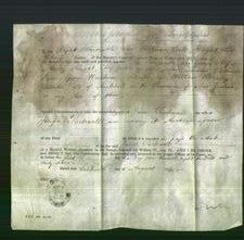 Appointment of Special Commissioners - George Alfred Arney, Thomas Outhwaite, George Wrentmore and William Bracey-Original Ancestry