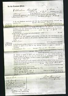 Court of Common Pleas - Elizabeth Roberts-Original Ancestry