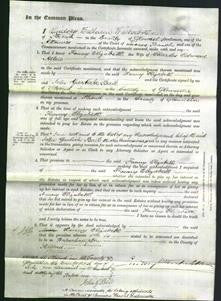 Court of Common Pleas - Fanny Elizabeth Allen-Original Ancestry