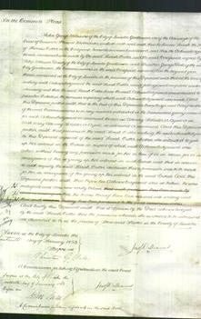 Court of Common Pleas - Sarah Ostler-Original Ancestry