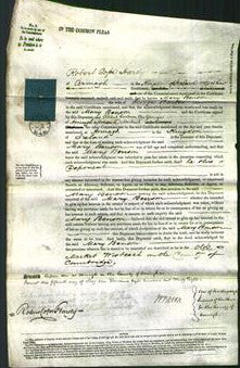 Court of Common Pleas - Mary Benson-Original Ancestry