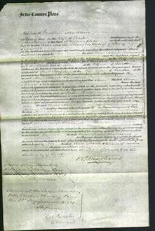 Court of Common Pleas - Ann Maria Simmonds-Original Ancestry