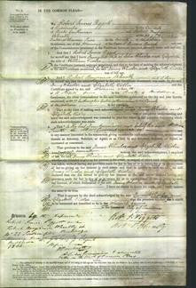 Court of Common Pleas - Fanny Wheeler and Elizabeth Vidler-Original Ancestry