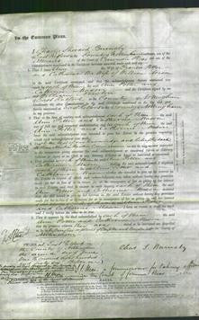 Court of Common Pleas - Ann Potter and Catherine Mason-Original Ancestry