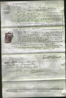 Court of Common Pleas - Elizabeth Jones-Original Ancestry