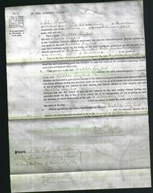 Court of Common Pleas - Matilda Twyford-Original Ancestry