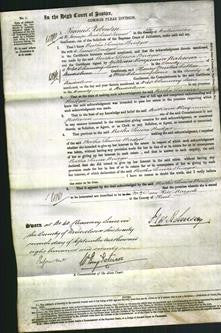 Court of Common Pleas - Bertha Louisa Bridger-Original Ancestry