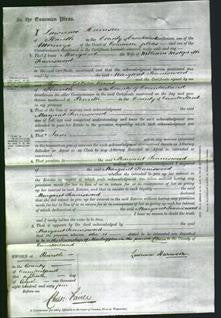 Court of Common Pleas - Margaret Tinniswood-Original Ancestry