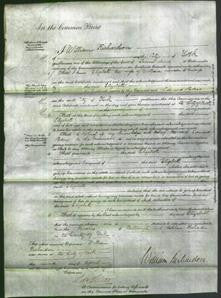 Court of Common Pleas - Elizabeth Whincup-Original Ancestry