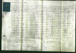 Court of Common Pleas - Susannah Crump-Original Ancestry