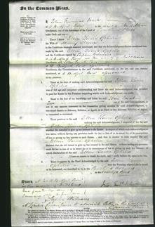 Court of Common Pleas - Ellen Laura Ophelia Stevens-Original Ancestry